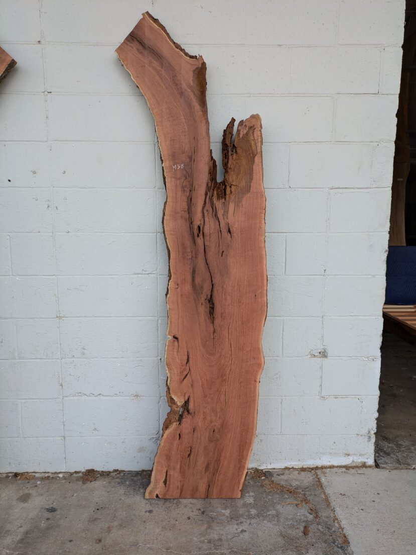 Mesquite  M58