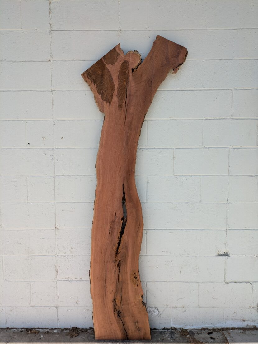 Mesquite  M60
