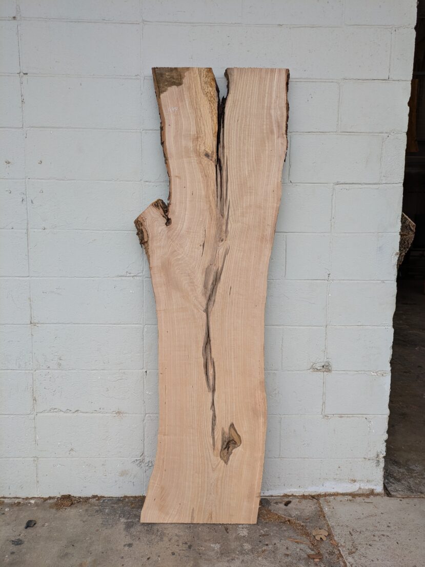 Ash  A44