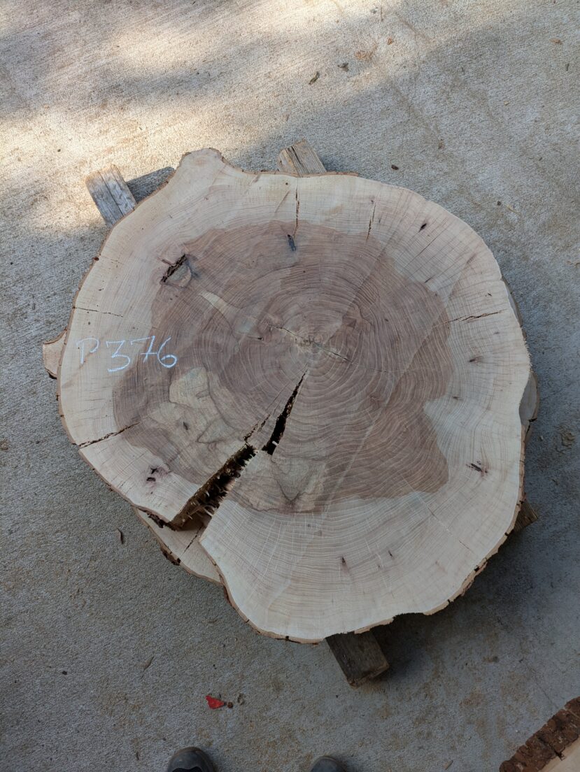 Pecan  P376
