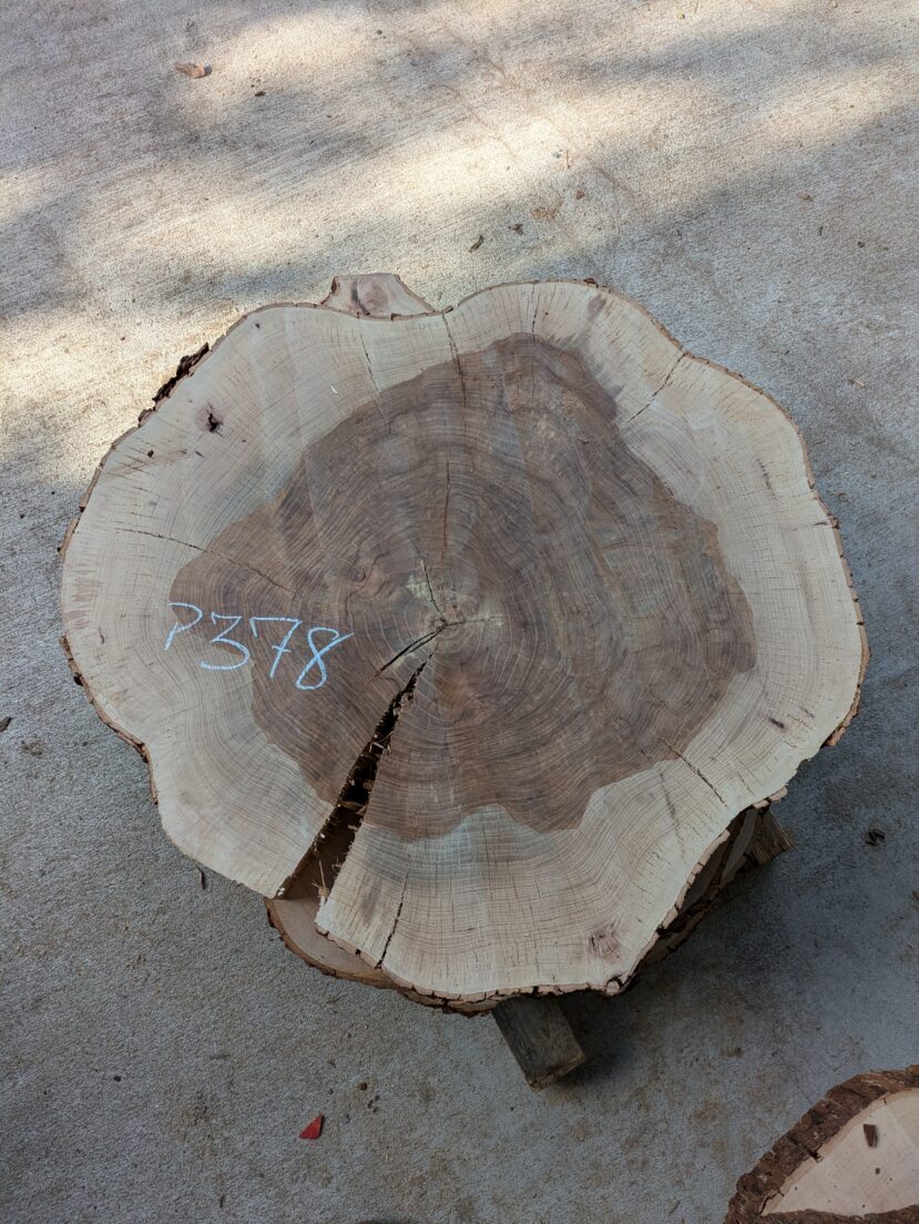 Pecan  P378