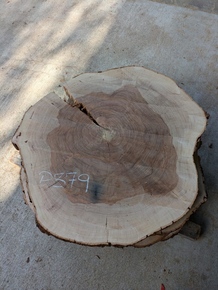 Pecan  P379