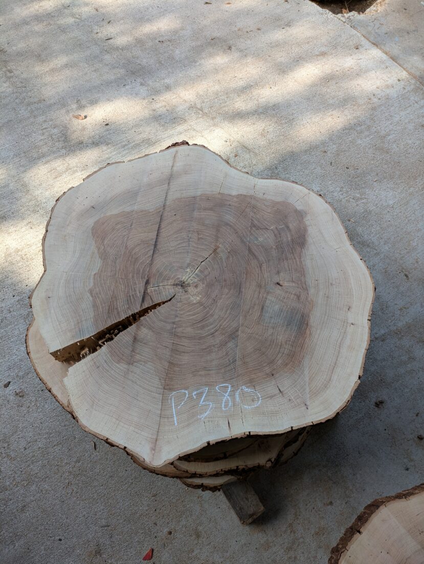 Pecan  P380