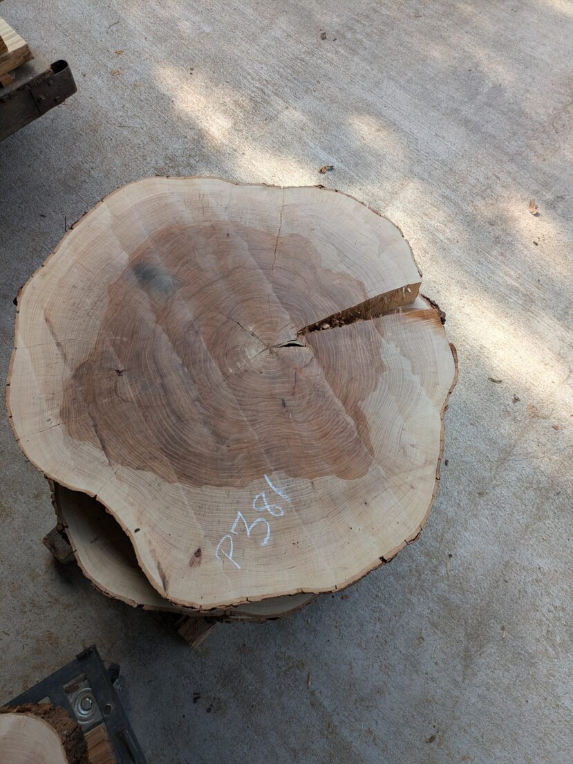 Pecan  P381