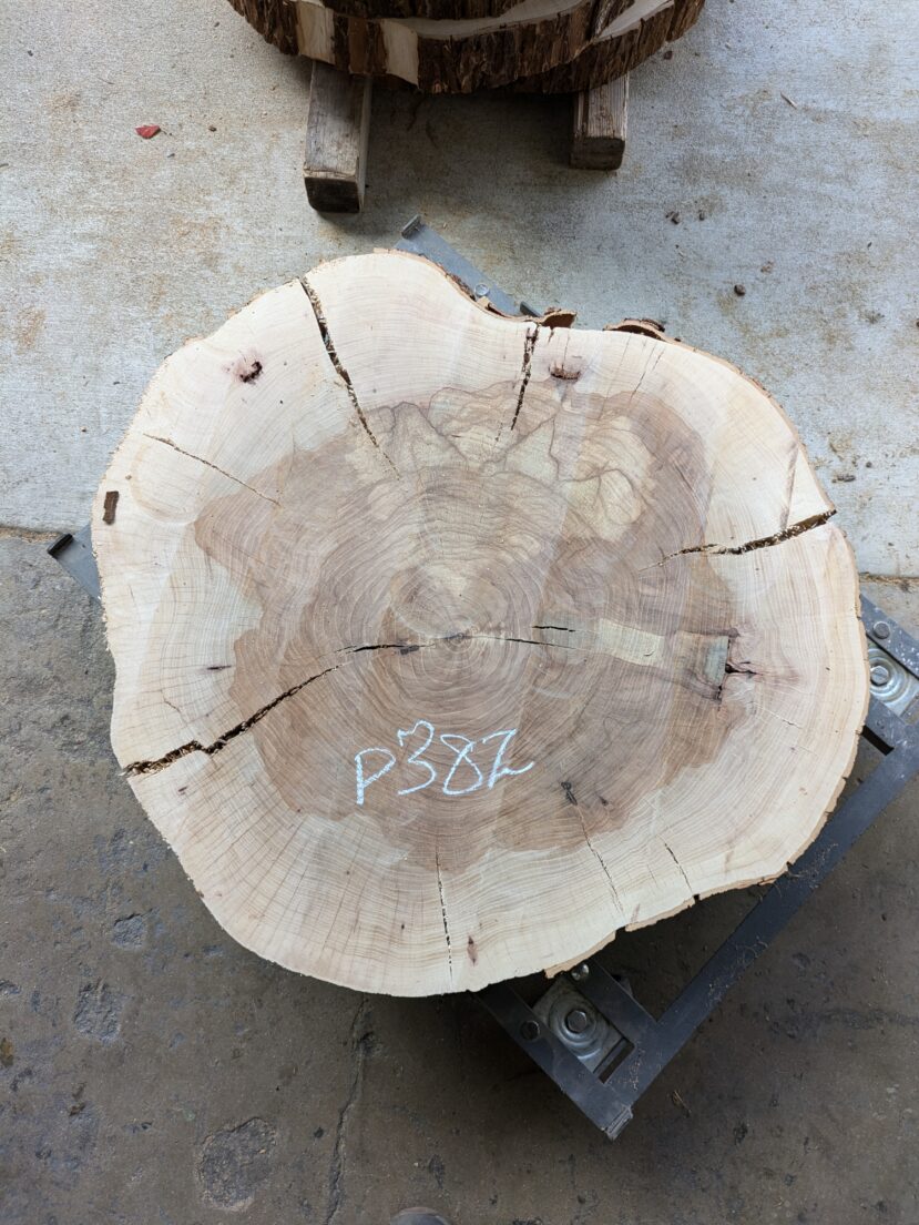 Pecan  P382