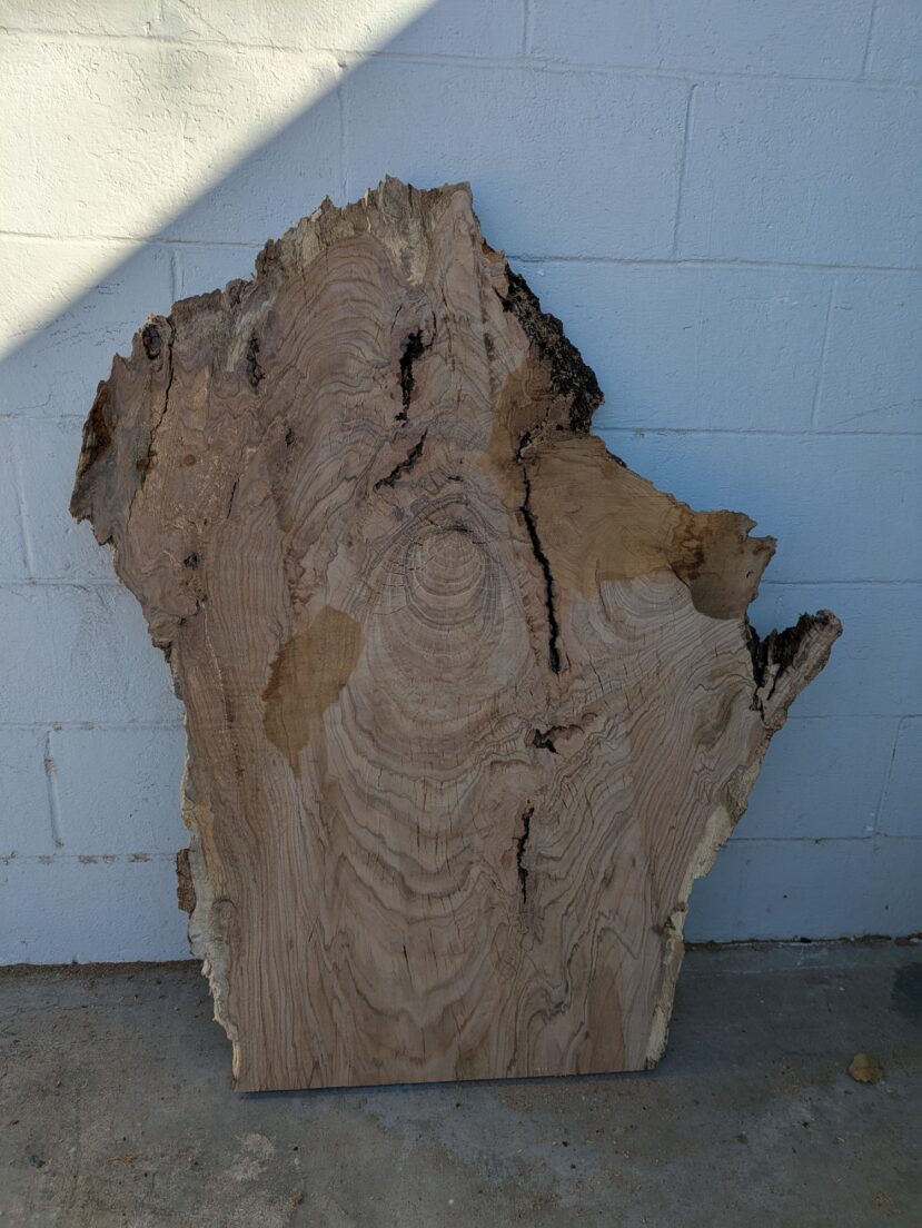 Red Oak  RO62
