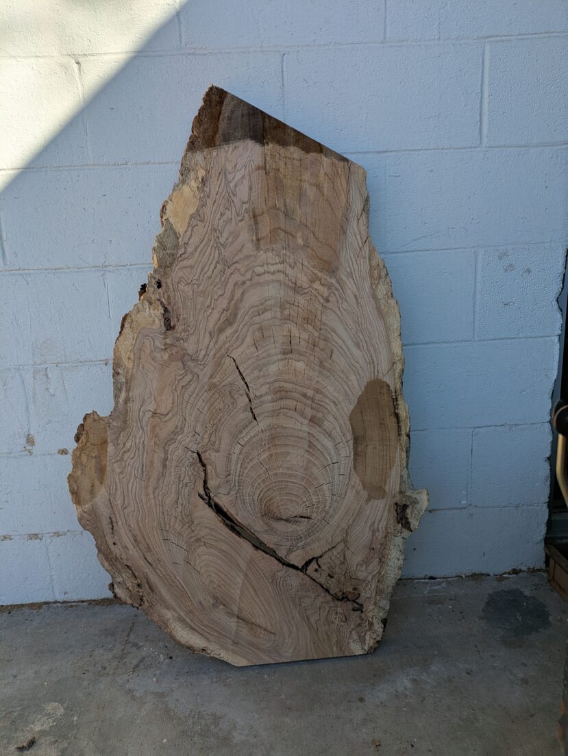 Red Oak  RO63