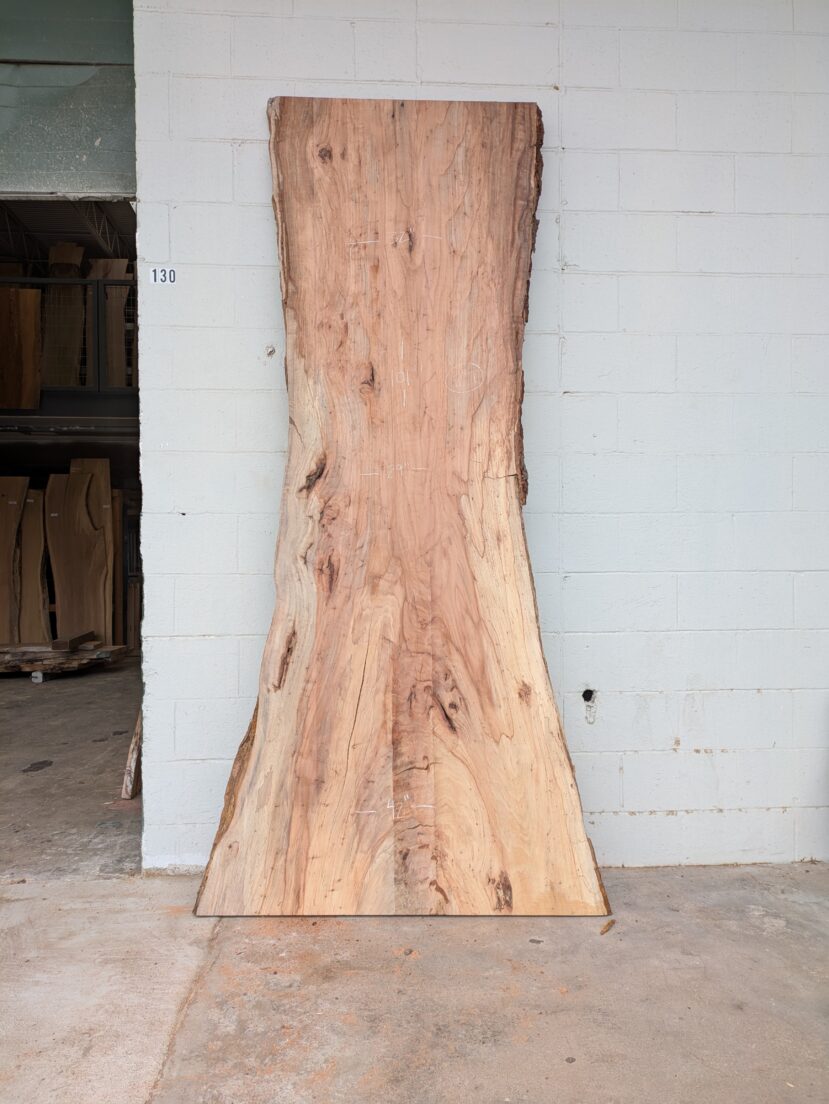 Pecan  P395