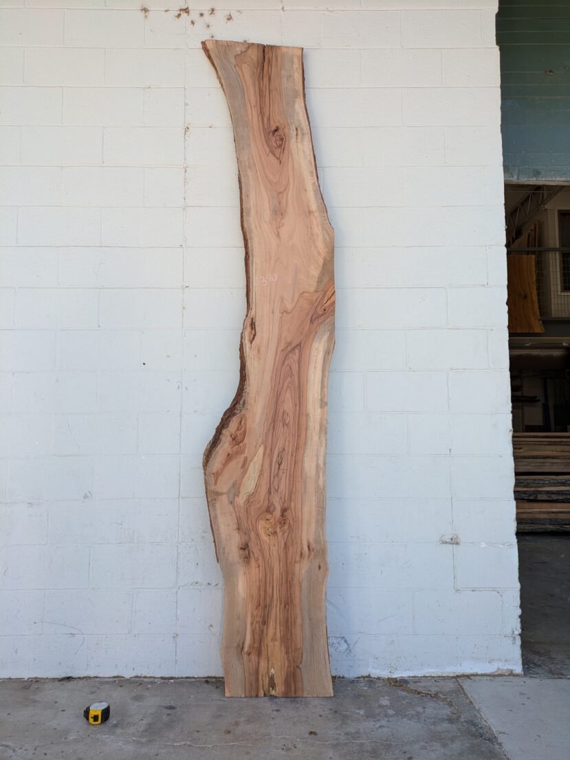 Pecan  P390