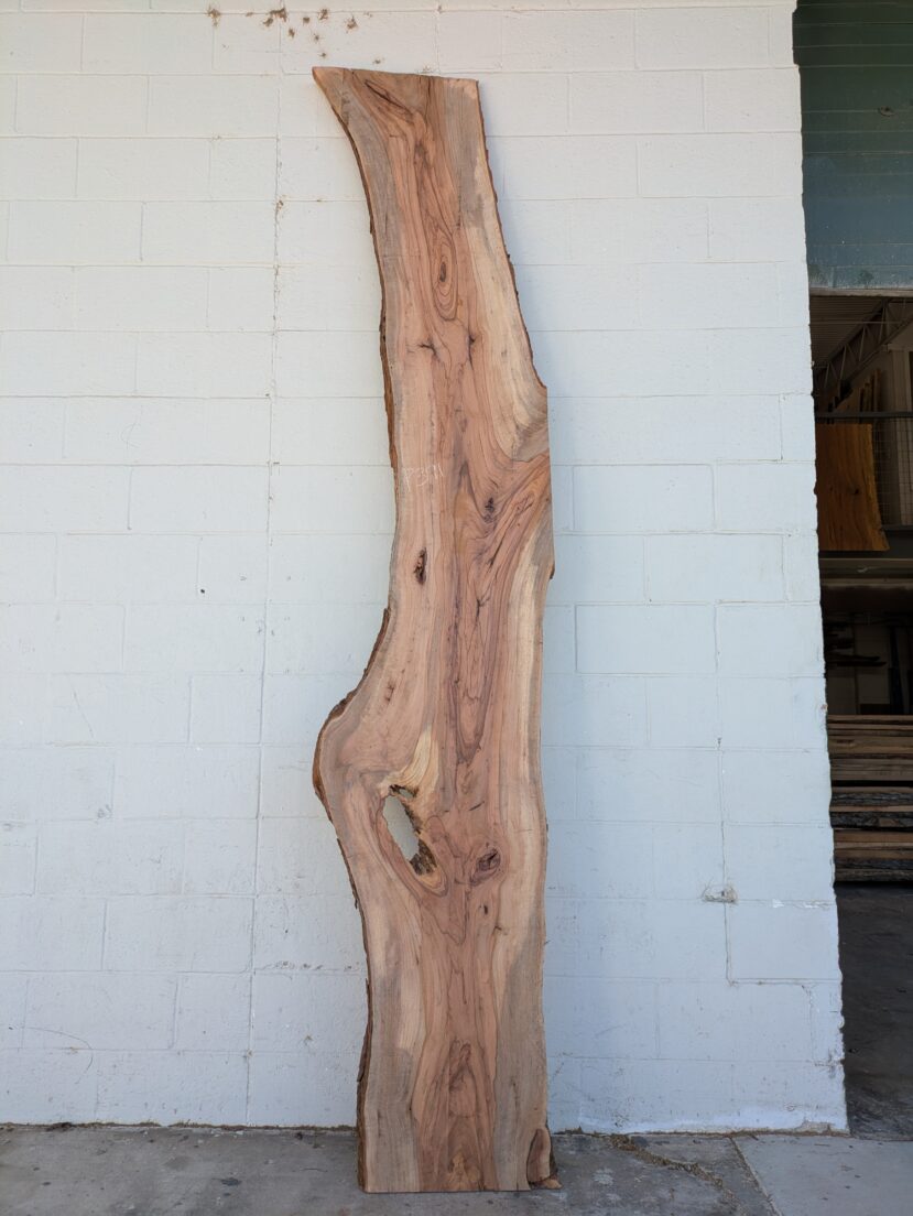 Pecan  P391