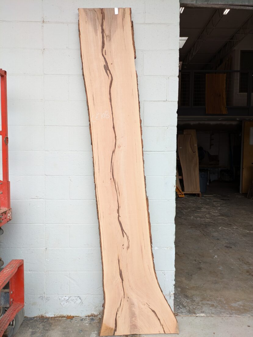 Cedar Elm  CE108