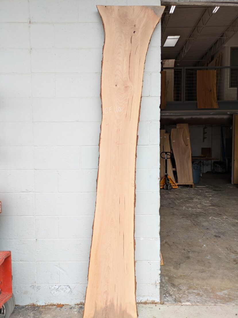 Cedar Elm  CE110