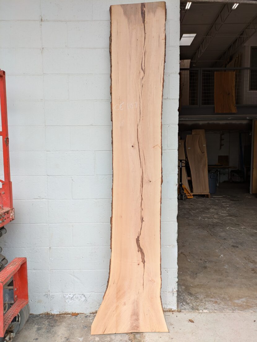 Cedar Elm  CE107