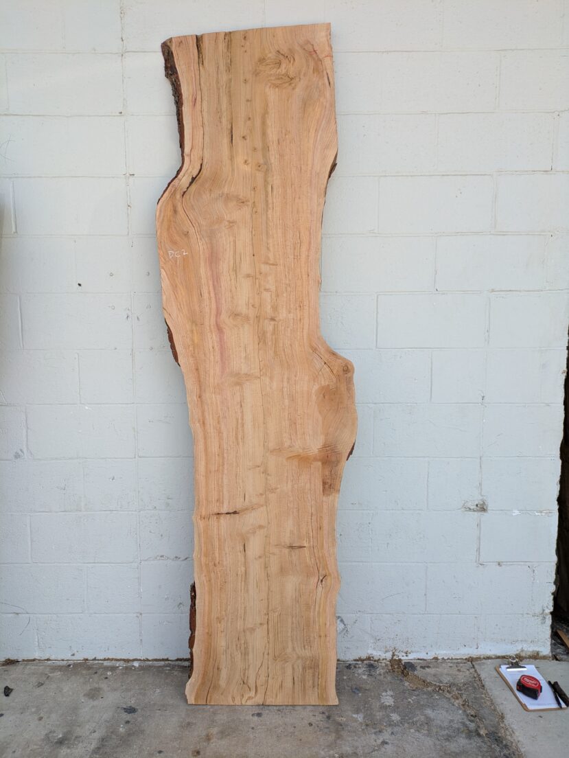 Deodar Cedar  DC002