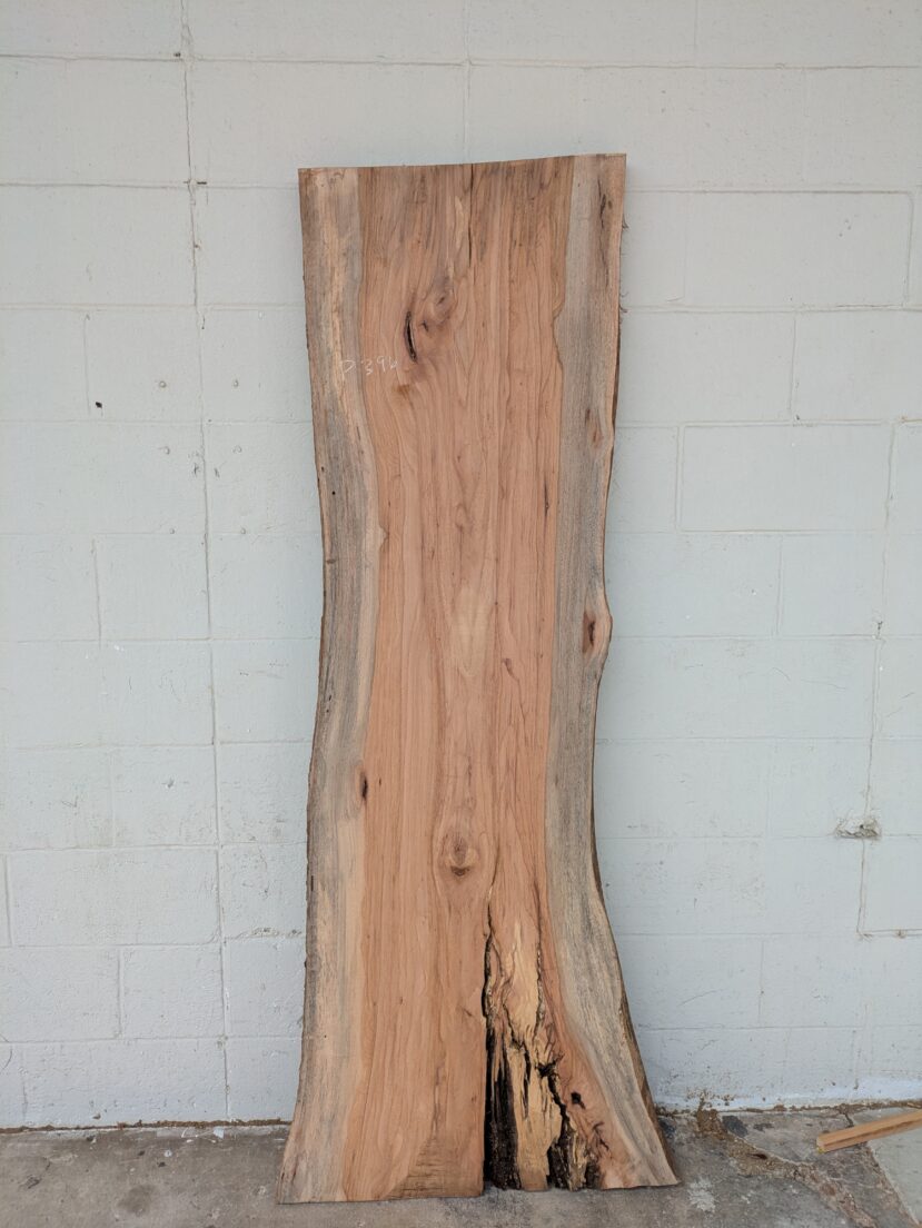 Pecan  P396