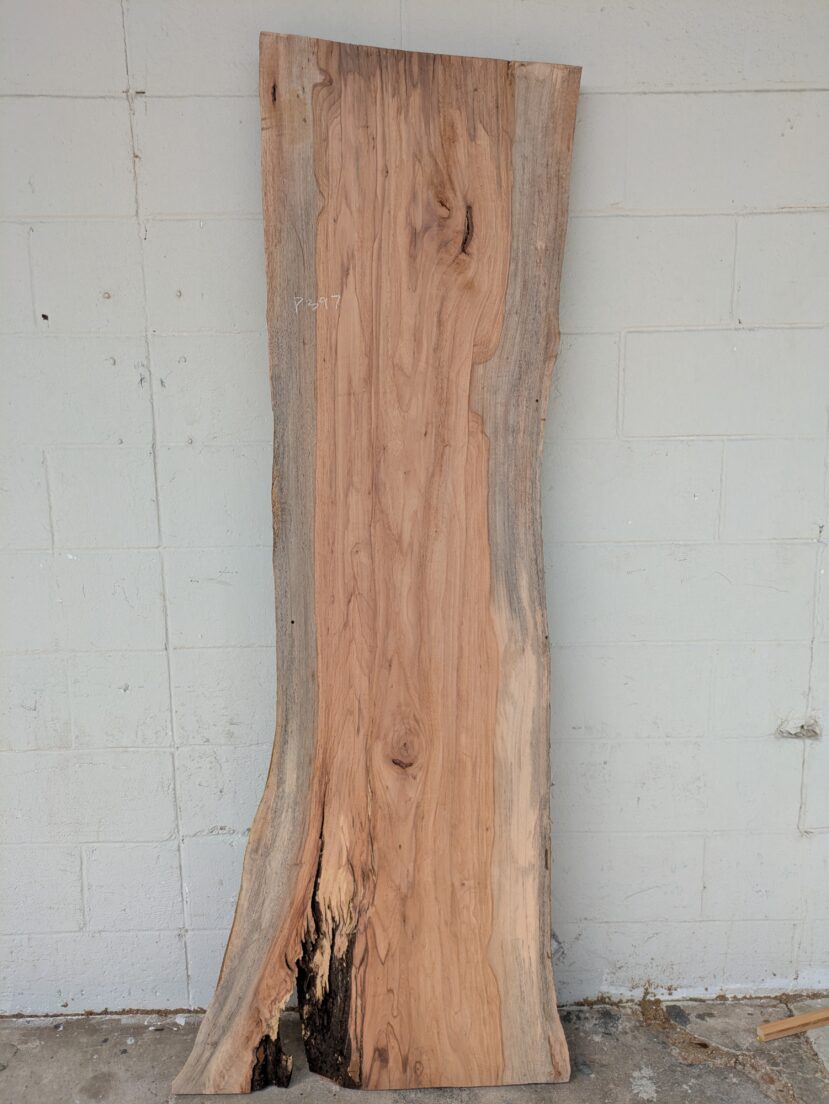 Pecan  P397