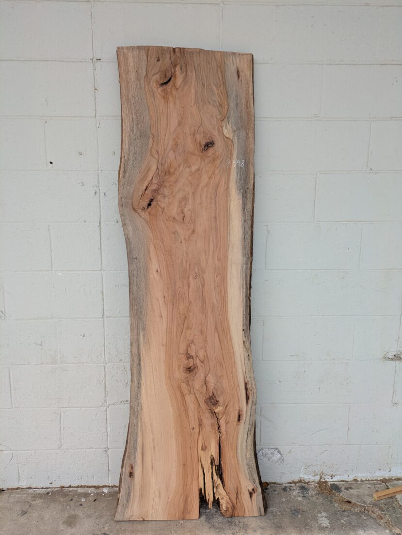 Pecan  P398
