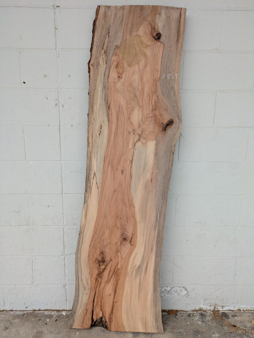 Pecan  P399