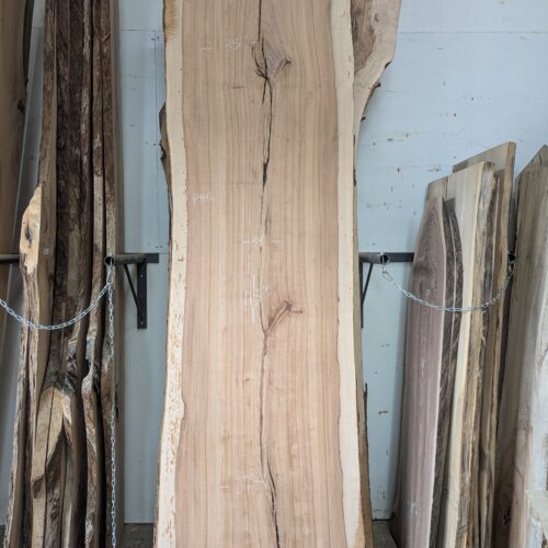 Pecan  P412