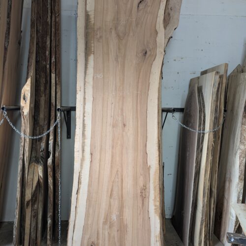 Pecan  P415