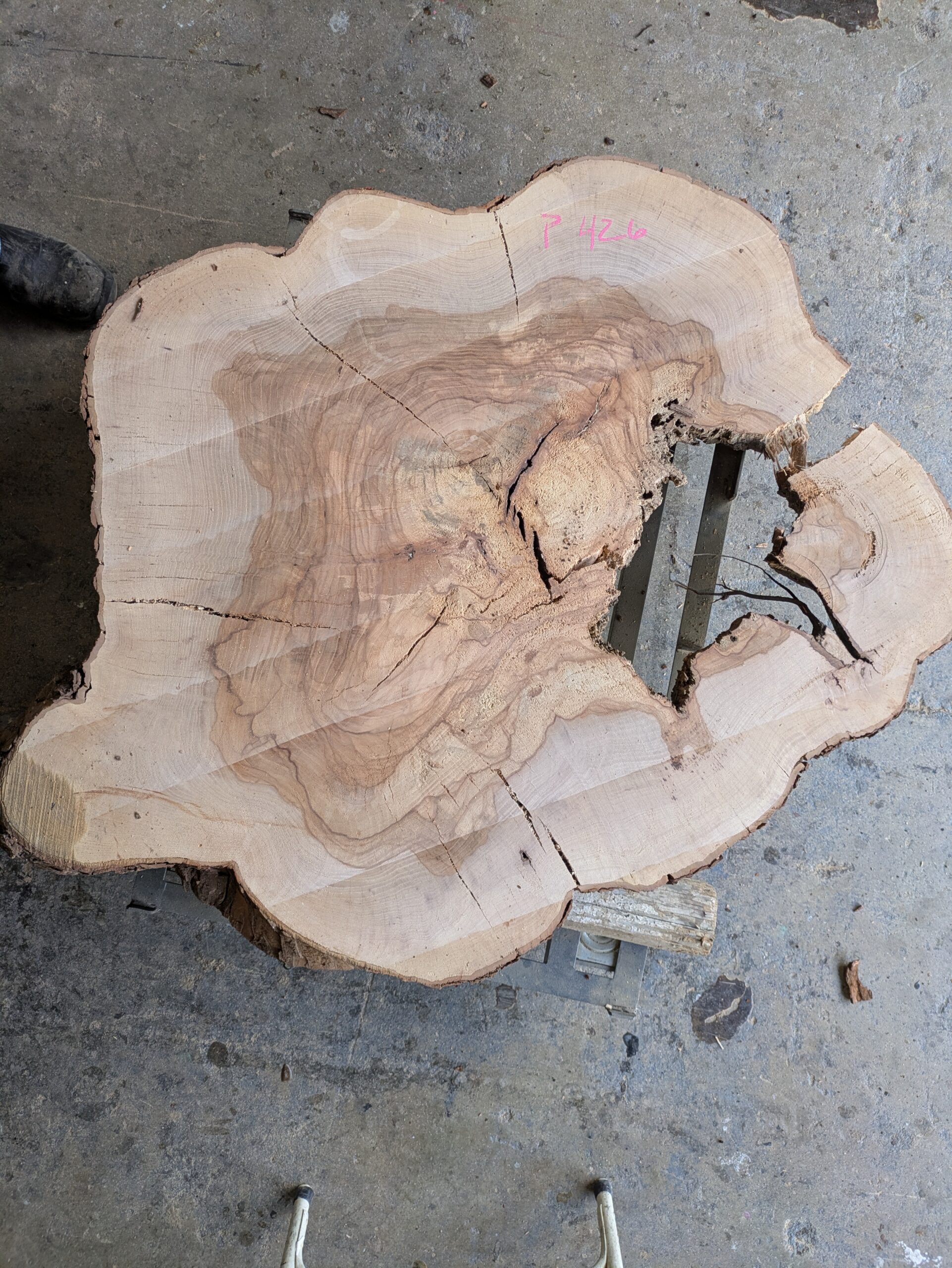 Pecan P426