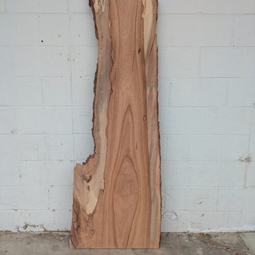 Pecan  P433