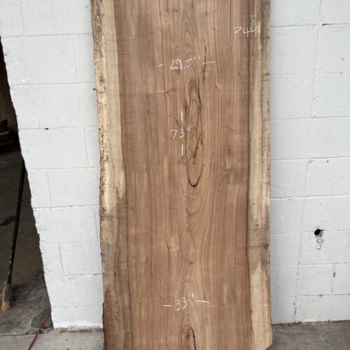 Pecan  P441