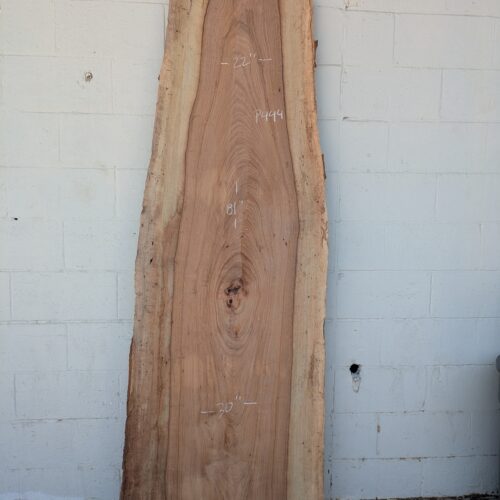 Pecan  P444